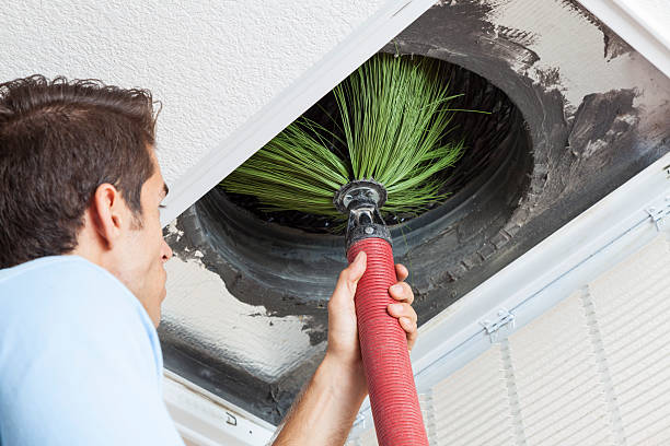 Best Local Air Duct Cleaning Services  in Willard, MO